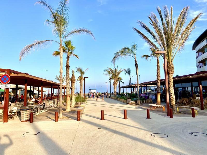 Le front de mer de Narbonne-Plage et ses palmiers